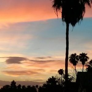 Meet your Posher, Celesa